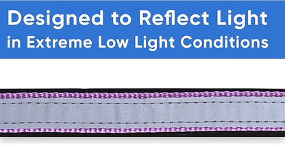 Pawtitas Lumberjack Padded Martingale Collar for Dogs | Soft Neoprene Dog Collar for Your pet's Comfort Made with Reflective Band for Maximum Visibility | Fits Small and Large Pets - Large Orchid