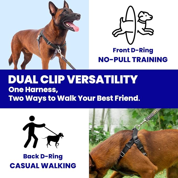 Freedom No Pull Dog Harness for Medium Dogs, Easy Walker, Anti Pulling with Two Stainless D-Rings, Comfortable, Sewn-in Instructions Tags for Easy Use (Black, M)