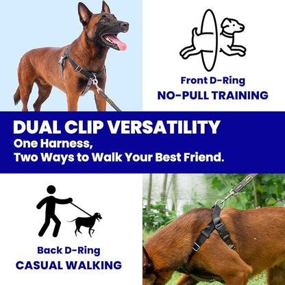 Freedom No Pull Dog Harness for Large Dogs, Easy Walker, Front Clip, Anti Pull with Two Stainless D-Rings, Comfortable, Sewn-in Instructions Tags for Easy Use (Black, XXL)