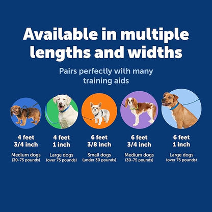 PetSafe Nylon Leash - Strong Nylon Dog Leash for Everyday Walks - Durable Pet Leash with Quick Attach Leash Clip - Comfortable Soft Grip - 6 Feet - Apple Green