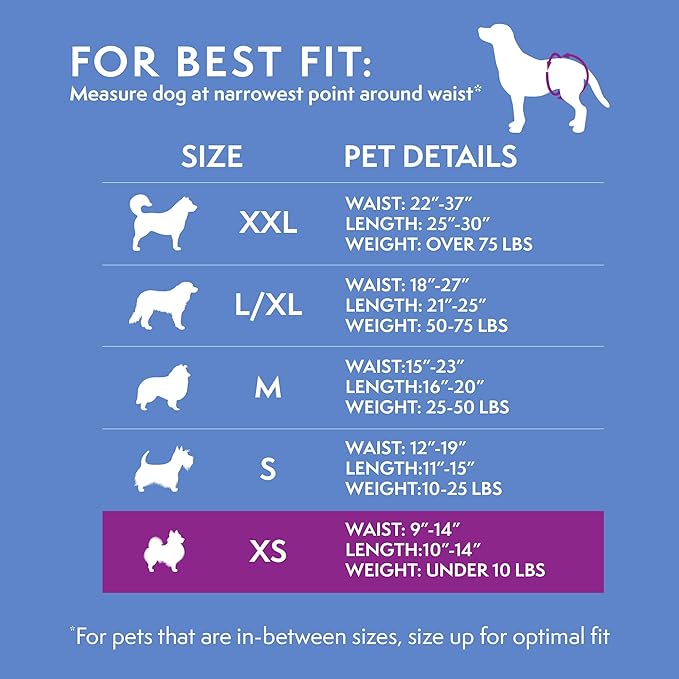 Simple Solution Disposable Dog Diapers for Female Dogs, Leak Proof Diaper for Dogs, Potty Training, XS Puppy Training, Incontinence, Diaper for Peeing, For Small Pets, 9-14 Inch Waist, 12 Count