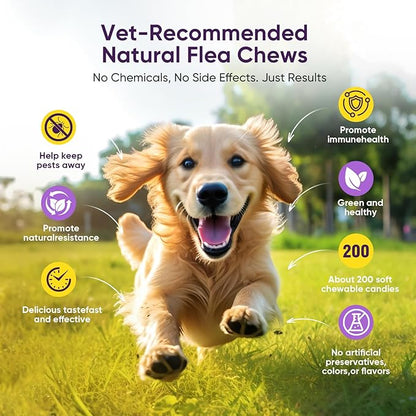 Dog Flea and Tick Treatment Chewable 200 Treatment Chews Natural Soft Chew Fleas Ticks Treatment Dog Oral Chewables Support Supplement