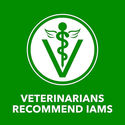 IAMS Proactive Health Wet Dog Food Adult, Canned Dog Food, Chicken Chunks in Gravy, 13 oz. Cans, Pack of 12