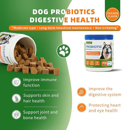 Probiotic Chews for Dogs, Probiotics Soft Chews for Dogs Digestive Health, Daily Probiotics for Dogs with Digestive Enzymes, Dog's Daily Supplement, Dog Food Companion (Chicken Flavor 100Ct)