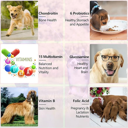 Dog Multivitamin,15 in 1 Dog Multivitamin Liquid Drops Supplements, Dog Vitamins for Heart Health, Bones, Joint, Skin & Coat, Bladder, Immune System Support 60ml-2pcs