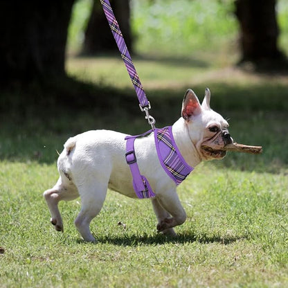 PUPTECK Soft Mesh Dog Harness and Leash Set Pet Puppy Cat Comfort Padded Vest No Pull Harnesses, Purple, XL