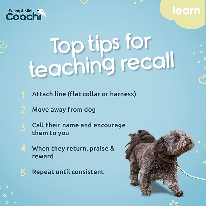 Coachi Puppy & Mini Waterproof Training Line 5m - Safe Outdoor Recall Training, Dog & Puppy Socialisation, Lightweight, Prevents Chasing. Suitable for Puppies and Small Dogs