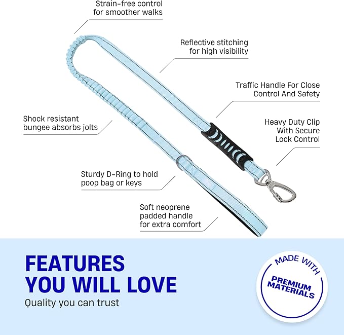 Dog Friendly Co. Bungee Dog Leash | Strain Free & Shock Resistant for Control | Neoprene Padded Handle, Heavy-Duty Carabiner Clip, and D-Ring | Sky Blue, Size Regular