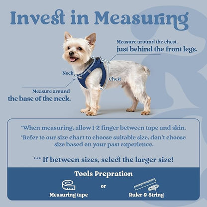 rabbitgoo Small Dog Harness, Step-in Soft Mesh Puppy Vest with Safety Buckle, Breathable Reflective Pet Harness for Small Sized Dogs, Navy Blue XS