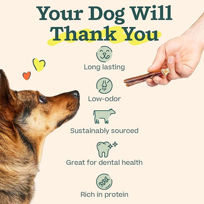 WOOF Bully Sticks Dog Treats - Chew Sticks for Dogs - Long-Lasting Dog Chew Treats - Made with Free-Range, Grass-Fed Beef- 12" Sticks - 25pk