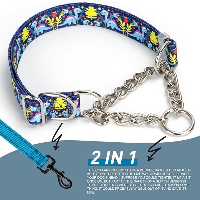 Martingale Dog Collar - Adjustable Anti-Pull Training Collar with Safe Choke Chain Design,Dinosaur Pattern for Medium,Large & XL Dogs (Dinosaur XL)