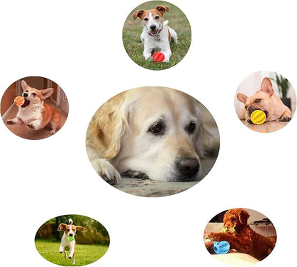 Sunglow 2 Pack Dog Toy Ball，Nontoxic Bite Resistant Teething Toys Balls for Small/Medium/Large Dog and Puppy Cat, Dog Pet Food Treat Feeder Chew Tooth Cleaning Ball Exercise Game IQ Training Ball
