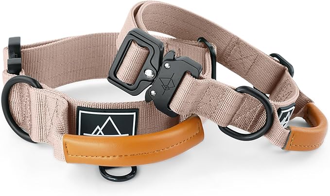 Made to ROAM Premium Explorer Control Collar - Adjustable Heavy Duty Nylon Dog Collar with Quick-Release Metal Buckle and Handle (Utah Glow, Control Size 2.5)