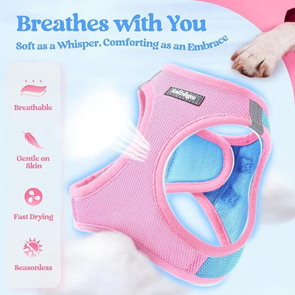 rabbitgoo Dog Harness Small Sized and Leash Set, Step in Soft Light Puppy Vest, Breathable Mesh Pet Harness, Reflective for Safe Easy Walking, Blue & Light Pink XXXS