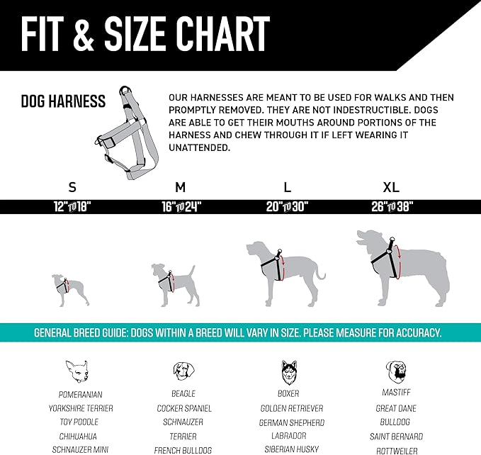 Wolfgang Heavy Duty Adjustable Dog Harness, Pull-Tested for Walking & Training, LazyDaisy Print, X-Large
