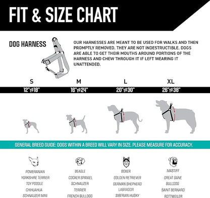 Wolfgang Heavy Duty Adjustable Dog Harness, Pull-Tested for Walking & Training, LazyDaisy Print, Small