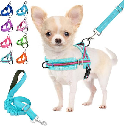 Lukovee No Pull Dog Harness and Leash Set, Soft Padded Small Dog Harness, Neck & Chest Adjustable Reflective Vest Puppy Harness with 4ft Lightweight Anti-Twist Dog Leash for Small Dogs (XS, 01-LBL)