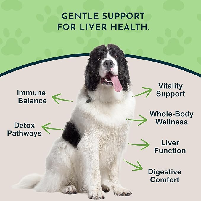 Animal Essentials Liver Defense for Dogs & Cats - Liver & Kidney Support for Pets, Milk Thistle for Dogs & Cats, Dandelion Supplement, Liquid Supplement, Detox Cleanser Blend - 1 Fl Oz