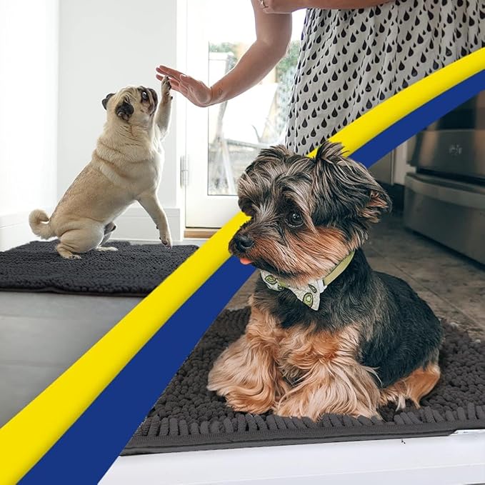 Muddy Mat® | Super Absorbent Door Mat Indoor, Microfiber Quick Dry Chenille Entryway Rug, Non-Slip Front Door Mat, Indoor Mats for Entryway, Machine Washable Pet Rug, Charcoal 19"x30"