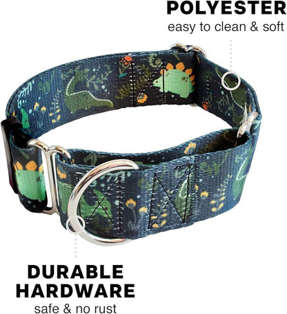 Downtown Pet Supply - Martingale Collar for Dogs - Dog Training Collar - Big, Wide & Thick Dog Collar - Escape-Proof, Weatherproof, Durable and Comfortable - Dino - Extra Large Dog Collar