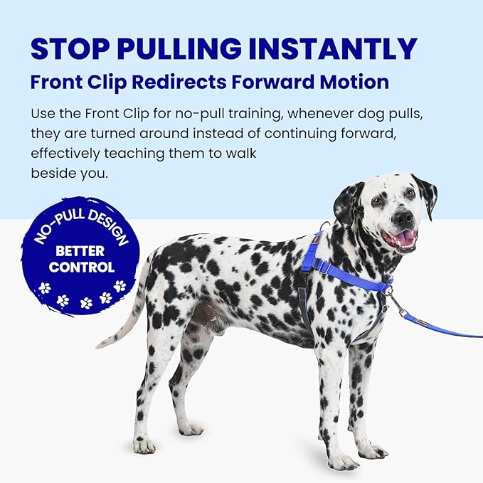 No Pull Dog Harness Freedom Walking, Easy Walk with Front and Back Stainless D-Rings, Sewn-in Instructions Tags for Easy Use, for Medium/Large Dogs Weight 40-60 lbs (Blue, Med/Large)
