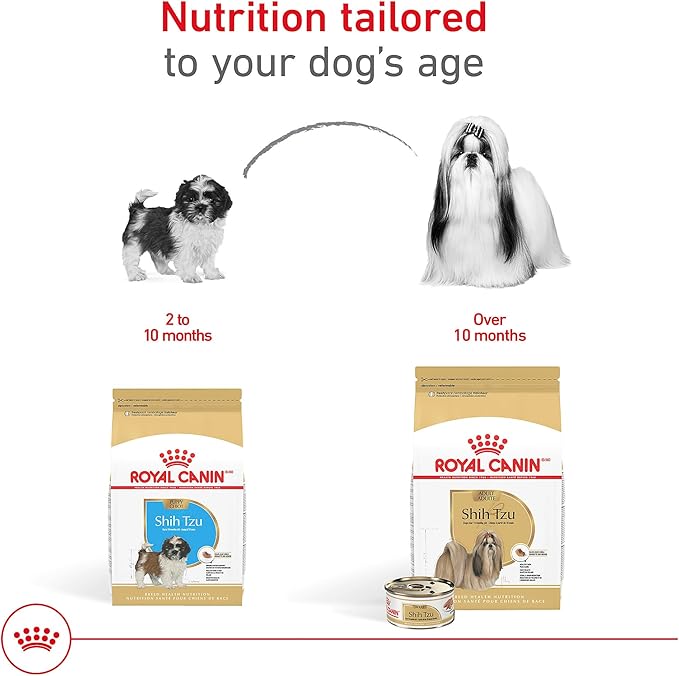 Royal Canin Breed Health Nutrition Shih Tzu Adult Loaf in Sauce Dog Food, 3 oz (Pack of 24)