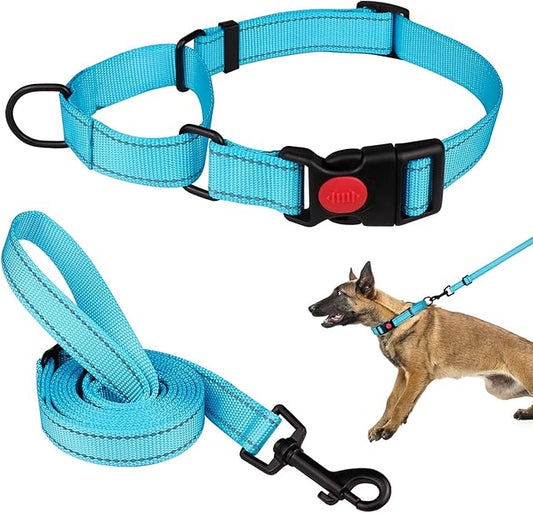 Martingale Dog Collar and Leash Set Martingale Collars for Dogs Reflective Martingale Collar for Small Medium Large Dogs(Sky Blue&L)