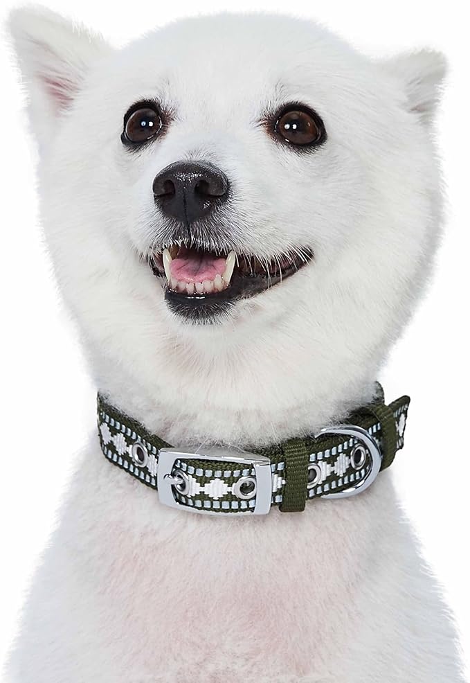 Blueberry Pet Reflective Jacquard Dog Collar with Neoprene Padding & Metal Buckle | Soft & Adjustable Safety Collar - Olive, Neck 17-20.5", for Large Breed