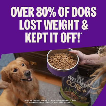 Wellness CORE Dry Dog Food, Grain-Free, High Protein, Natural, Healthy Weight Turkey & Chicken Recipe, (4-Pound Bag)
