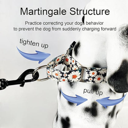 Martingale Collar for Dogs Daisy Dog Collar with Buckle Adjustable Nylon Medium Dog Collars, Daisy