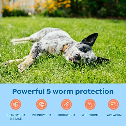 Interceptor Plus Prevention for Heartworm + 4 Other Worms for Dogs 25.1-50 lbs. | 6 Chews, 6-Month Supply