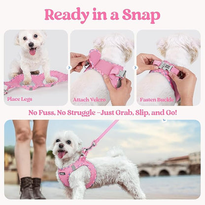 rabbitgoo Dog Harness Small Sized and Leash Set, Step in Soft Light Puppy Vest, Breathable Mesh Pet Harness, Reflective for Safe Easy Walking, Pink & Plaid Trim XXS