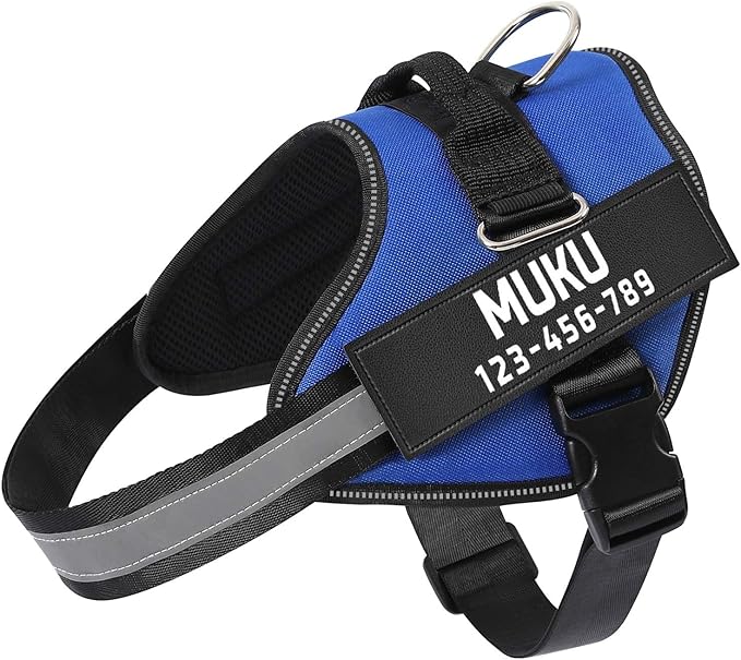 MUMUPET Custom Dog Harness Vest with 2 Personalized Name & Phone Patches, No Pull Reflective Adjustable with Handle, Soft Breathable Padding for Small Dogs (Blue, XS)