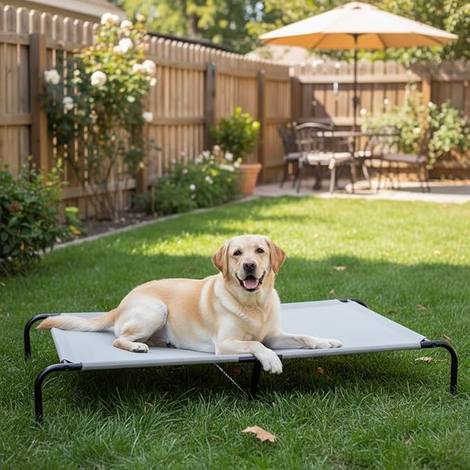 Amazon Basics Cooling Elevated Breathable Pet Bed For Dog, X-Large (60.1 x 37.1 x 8.9 Inches), 1 count, Grey
