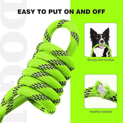 lynxking Slip Lead Dog Leash Reflective, Heavy Duty Comfortable Strong Rope for Large Medium Small Dogs No Pull Pet Training (Light Green, Large 1/2in x 6ft-Slip Lead)