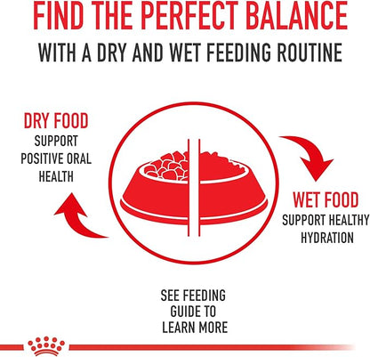 Royal Canin Size Health Nutrition X-Small 7+ Adult Dry Dog Food, 2.5 lb Bag