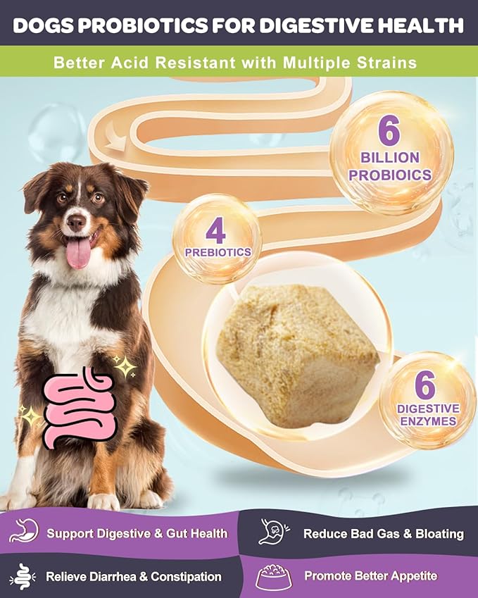Dog Allergy Relief with Probiotics for Dogs