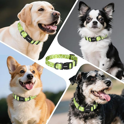 Kazazoo Dog Collar Cute and Soft Nylon Puppy Collar for Boy and Girl, Adjustable Dog Collars for Small Medium Dogs, Kiwi Fruit-S