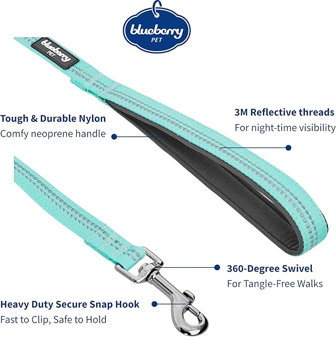 Blueberry Pet 3M Reflective Pastel Color Dog Leash with Soft & Comfortable Handle, 5 ft x 5/8", Mint Blue, Small, Leashes for Dogs