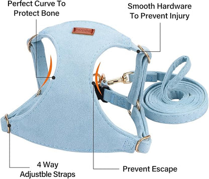 No Pull Dog Harness- Lightweight, Soft, Adjustable Small Harness Collar and Leash Set, Suitable for Cats Puppy Small and Medium-Sized Dog Outdoor Training and Running (Blue, S)
