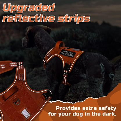 rabbitgoo Tactical Dog Harness Medium Sized Dog, No Pull Military Service Vest with Handle & Molle, Easy Control for Training Walking, Adjustable Reflective Straps, Orange, M