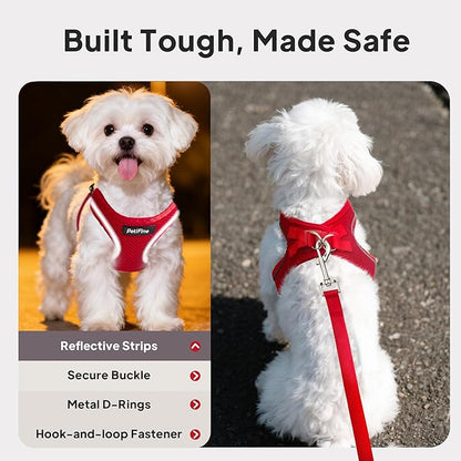PetiFine Step in Small Dog Harness and Leash Set, Breathable All Weather Air Mesh Reflective Escape Proof, Step-in Vest Harnesses for Puppy(XS, Red)