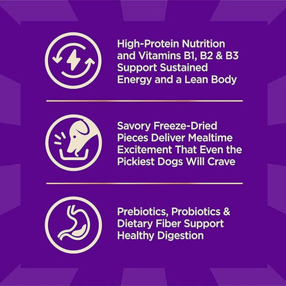 Wellness CORE+ Adult Dry Dog Food with Freeze Dried Pieces, Grain Free Kibble+, Natural, High Protein, Turkey and Chicken Recipe, 20 lb Bag