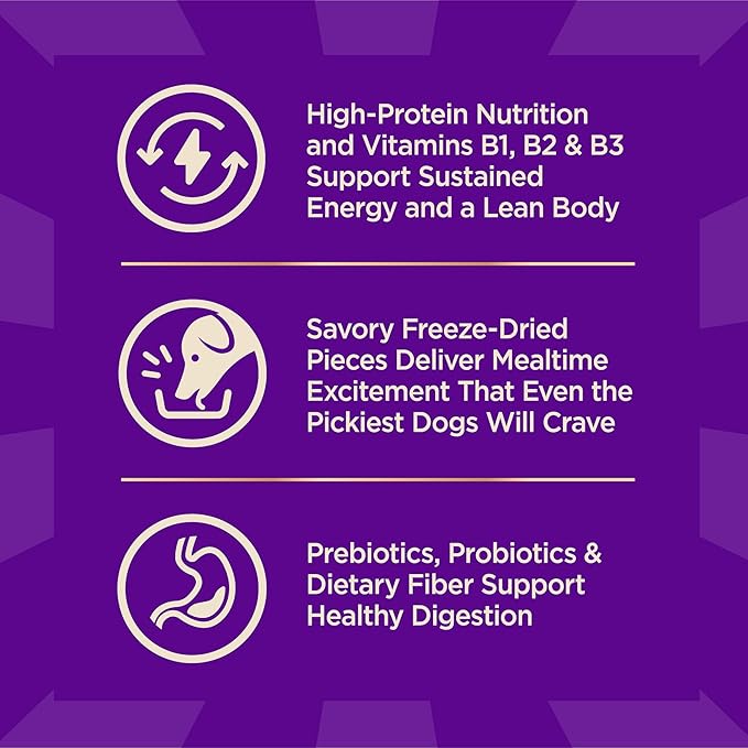 Wellness CORE+ Adult Dry Dog Food with Freeze Dried Pieces, Grain Free Kibble+, Natural, High Protein, Wild Game Duck, Lamb, Boar, and Rabbit Recipe, 10 lb Bag