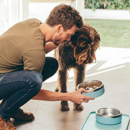 Trot Pets Premium Dog Bowls | Stainless Steel Bowl Set for Small, Medium, or Large Dogs | Non-Slip Food and & Water Slow Feeder | Durable, BPA-Free, Anti-Skid, Dishwasher Safe (Cobalt, Small)