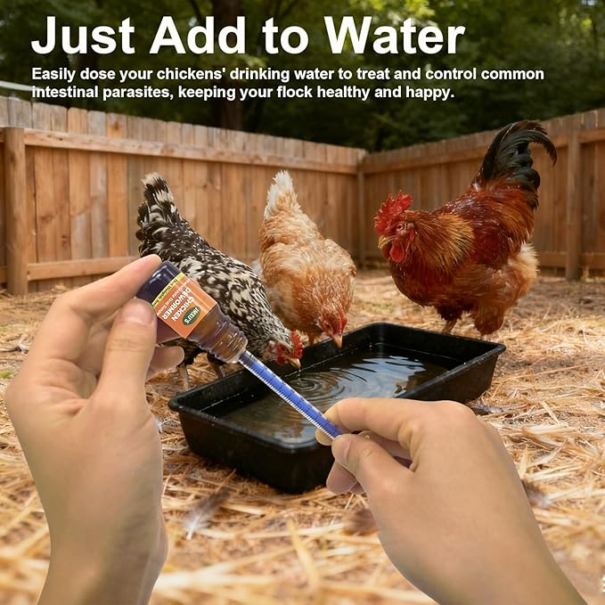 Jmxu's Chicken Dewormer Fenbendazole Oral Suspension, Chicken Antiparasitic,Safe for All Chicken Ages,5 ml