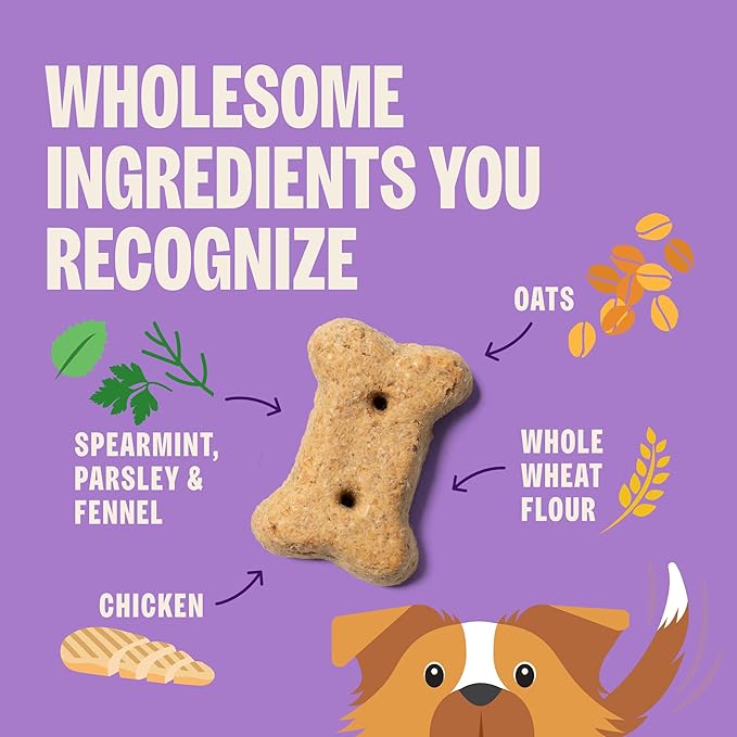 Wellness Old Mother Hubbard Minty Fresh Breath Dog Biscuits, Natural Training Treats, Spearmint and Chicken Flavor, Mini Size, 20 oz Bag
