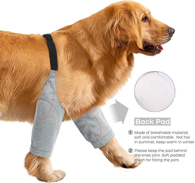 ROZKITCH Dog Surgery Leg Sleeve for Front Legs, Pet Prevent Licking Wound Elbow Knee Protector, Dog Leg Sleeve to Stop Licking Cone Collar Alternative for Sprain ACL CCL Arthritis Grey XL