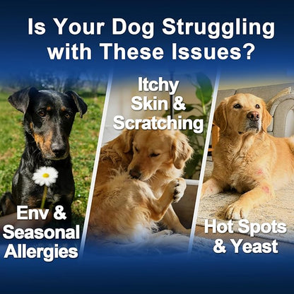 Dog Allergy Chews,is Omega 3 Human,Anti Itch Relief for Dogs Itching Skin Relief and Aller Immune Pet Multivitamin Allergy Chews Coat Licking Supplement Pills Meds Treats 250 Bites for Dogs
