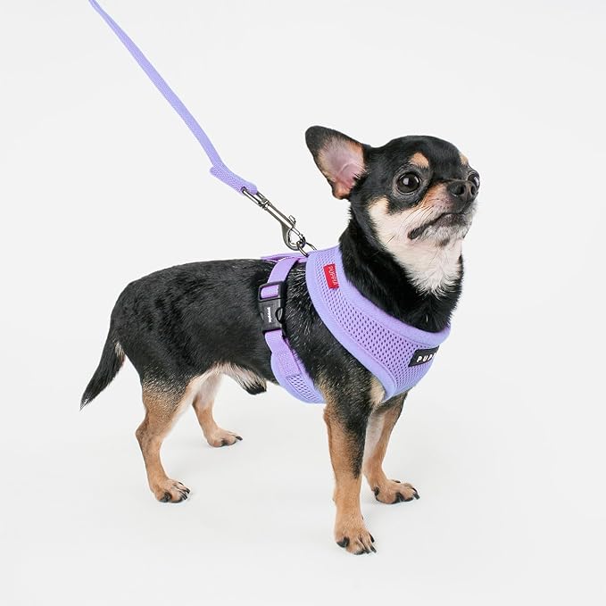 Puppia Soft Dog Harness No Choke Over-The-Head Triple Layered Breathable Mesh Adjustable Chest Belt and Quick-Release Buckle, Violet, Small